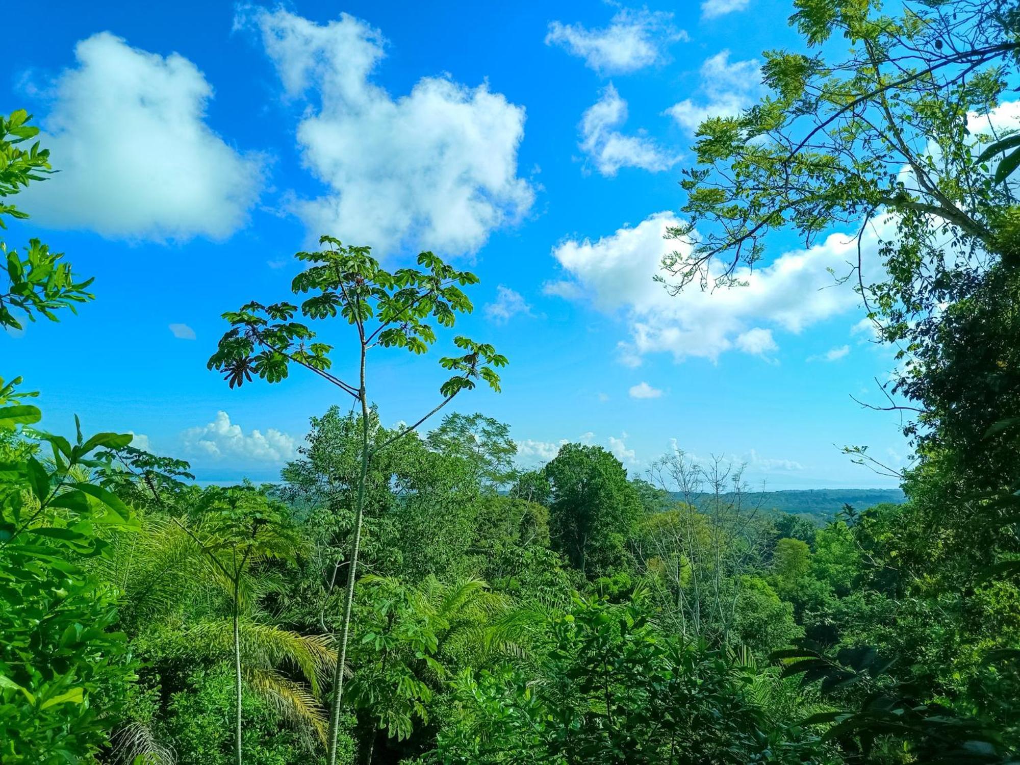 Osa Private Renting House-Villas-Tented-Best Views-Nature-Comfort Puerto Jiménez Eksteriør bilde