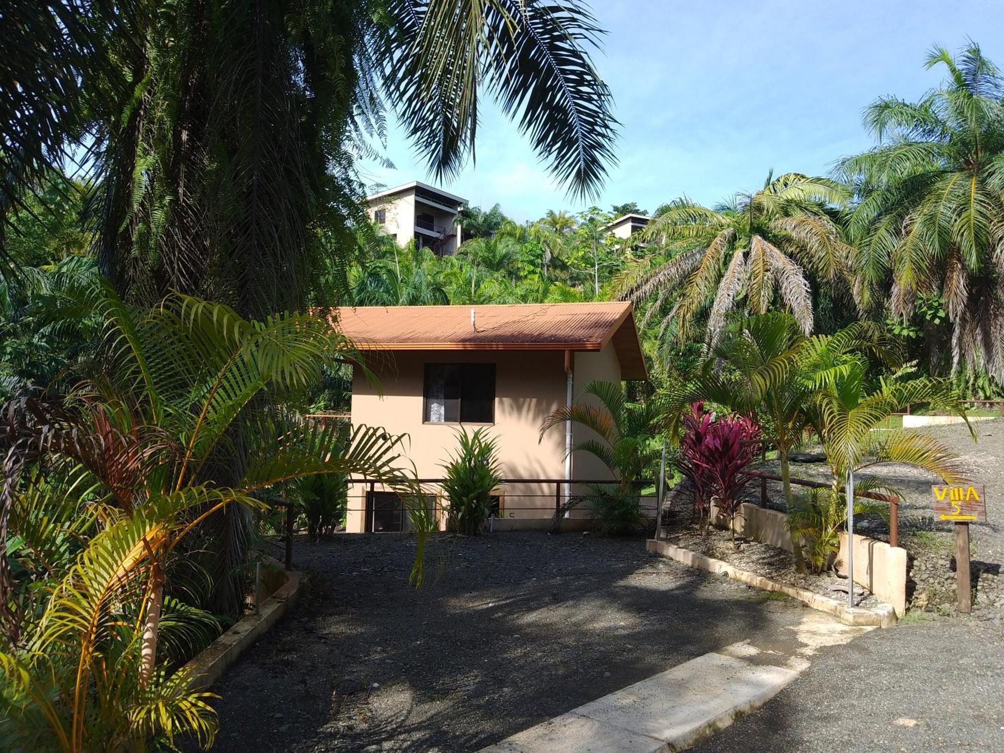 Osa Private Renting House-Villas-Tented-Best Views-Nature-Comfort Puerto Jiménez Eksteriør bilde