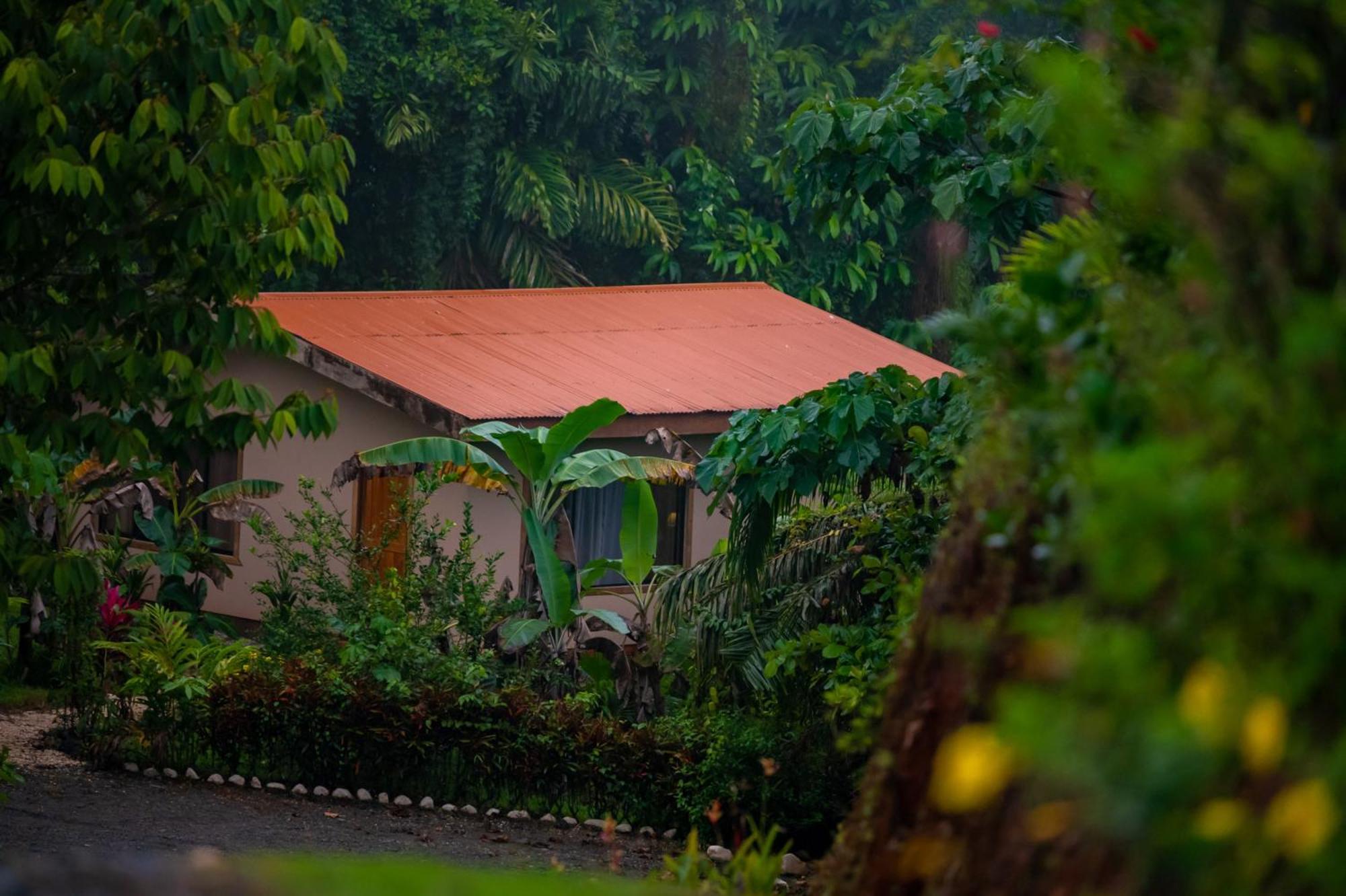 Osa Private Renting House-Villas-Tented-Best Views-Nature-Comfort Puerto Jiménez Eksteriør bilde
