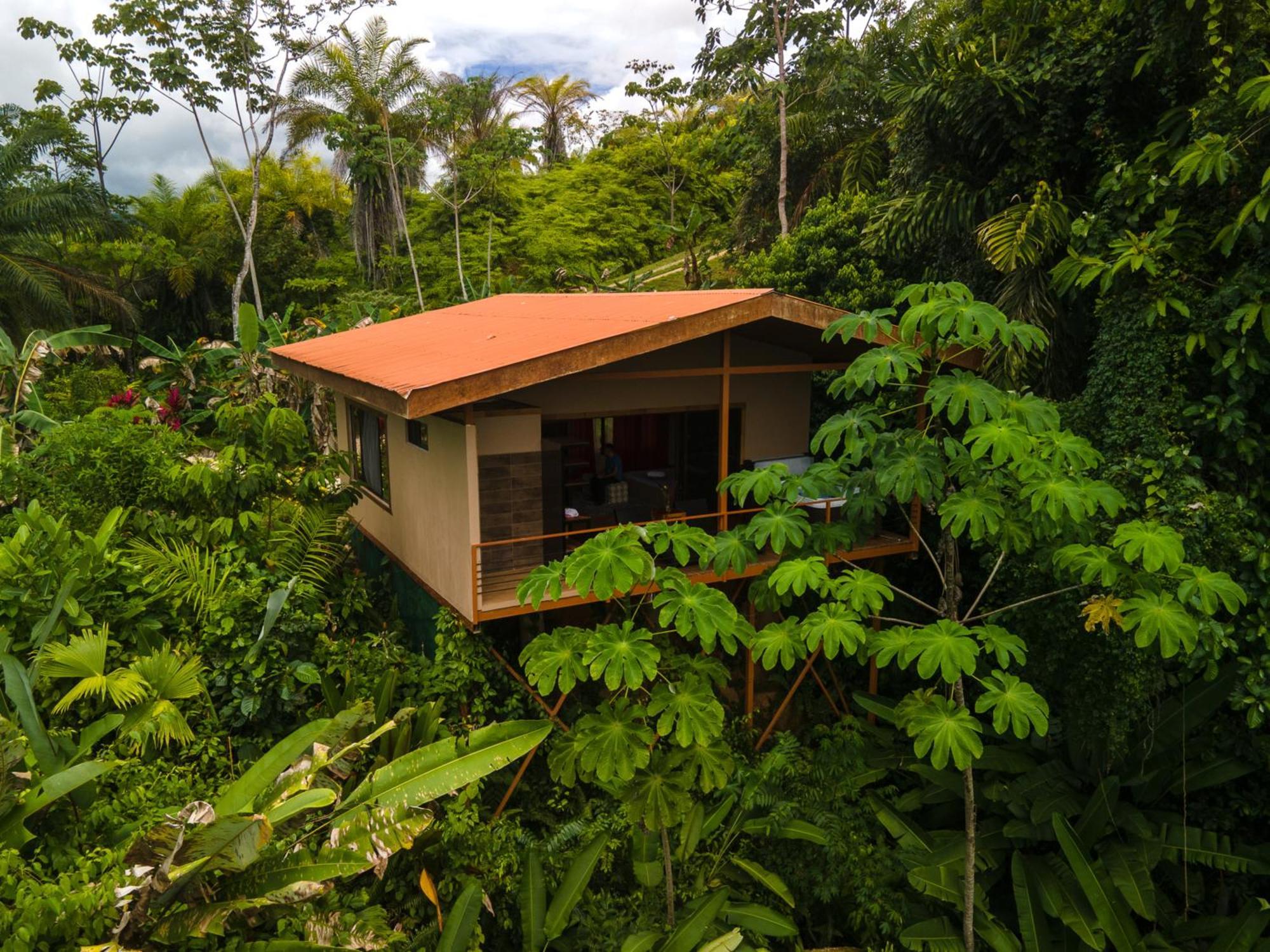 Osa Private Renting House-Villas-Tented-Best Views-Nature-Comfort Puerto Jiménez Eksteriør bilde